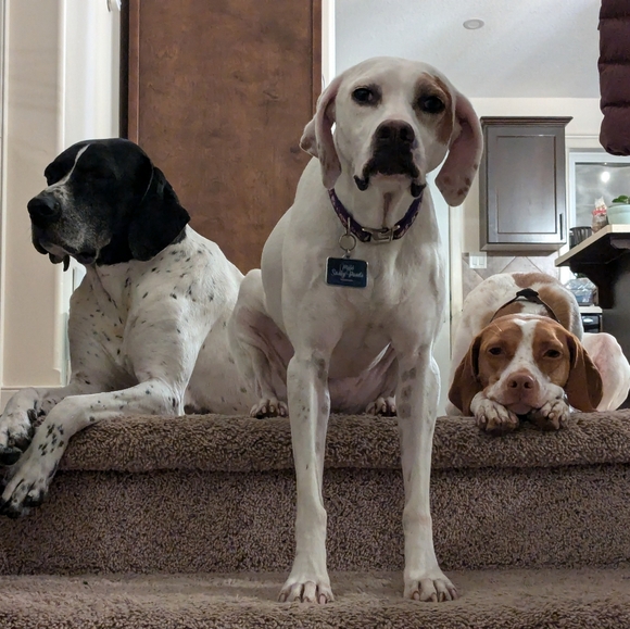 Meet your Posher, Livingskies - Picture 2 of 2